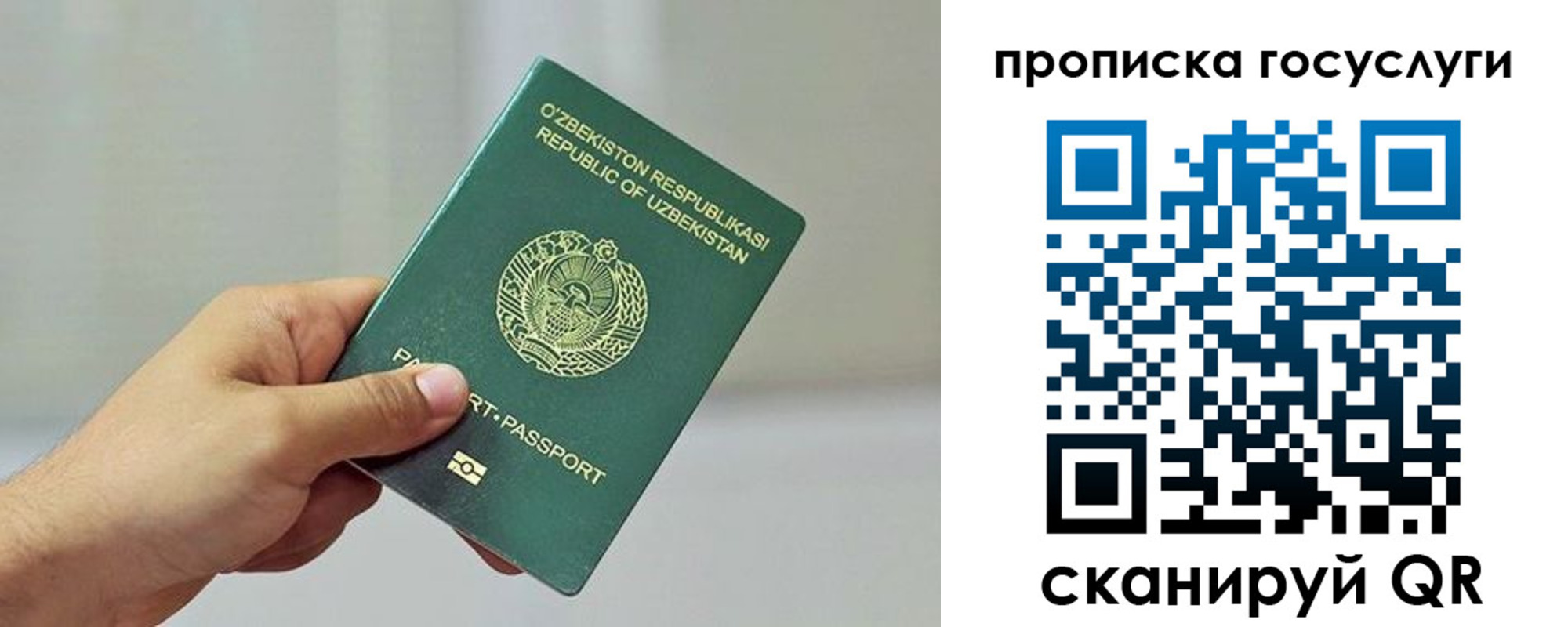 прописка законно в Сочи